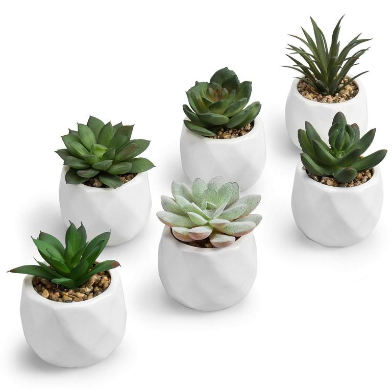 MYGIFT MINI FAUX SUCCULENTS 6PK