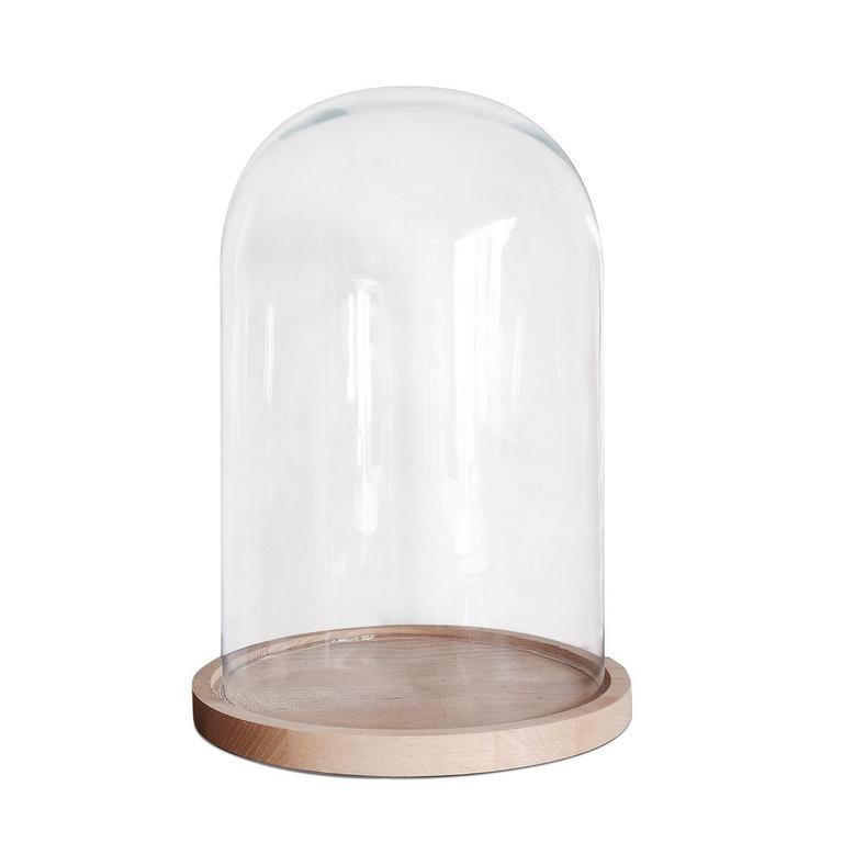 10IN GLASS DISPLAY DOME