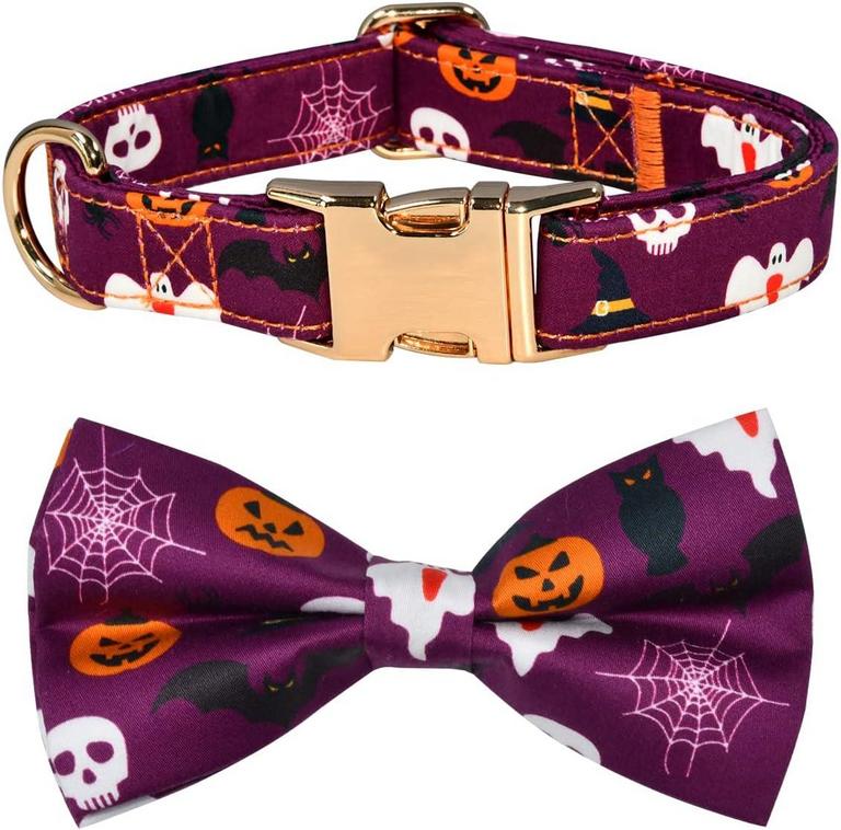 HALLOWEEN DOG COLLAR, M