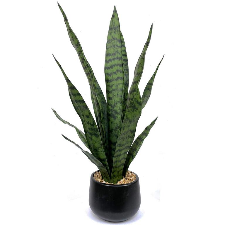 BIRD FIY 22.5IN FAUX SNAKE PLANT