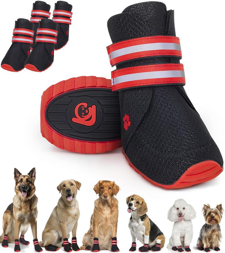 BIXIE DOG SHOES SIZE 50 4PK