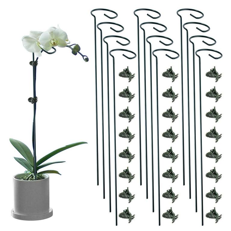 PLANT SUPPORT STAKES 12 PACK