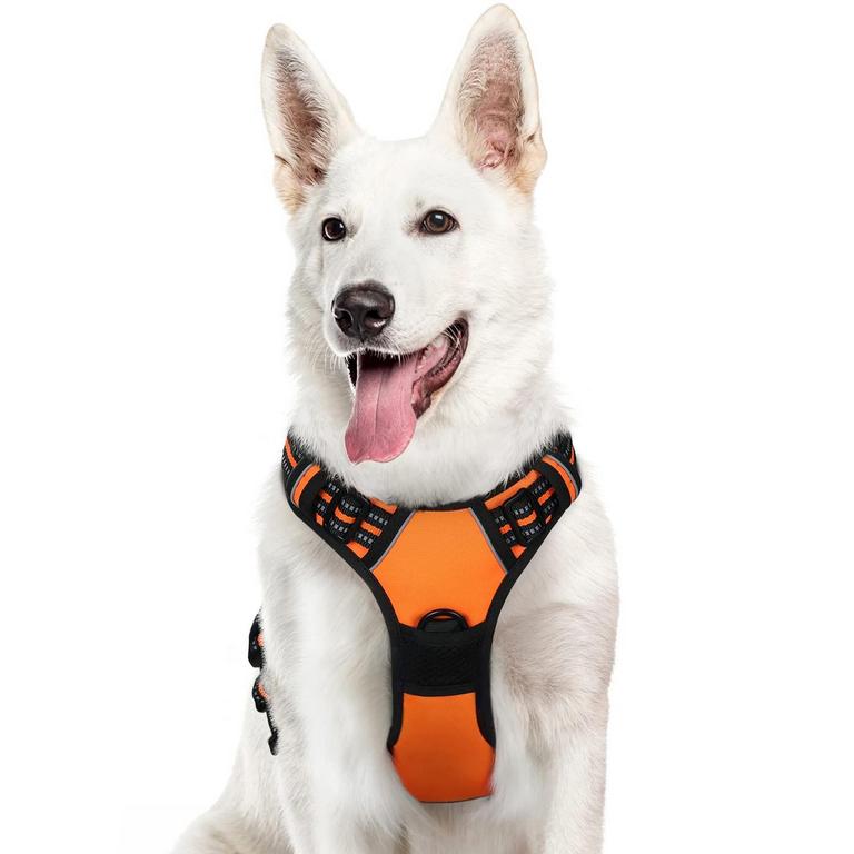 EAGLOO LARGE DOG HARNESS