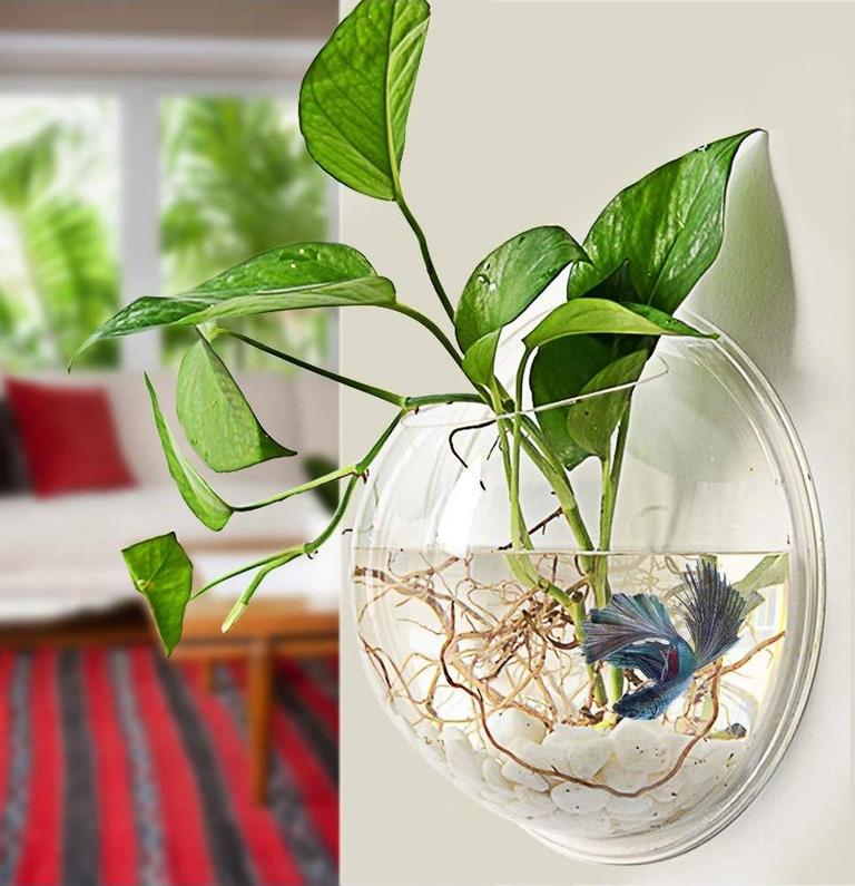 PRUGNA 11.5IN WALL FISH BOWL
