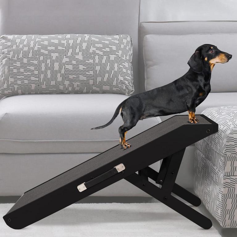 BIRCHWOOD DOG RAMP