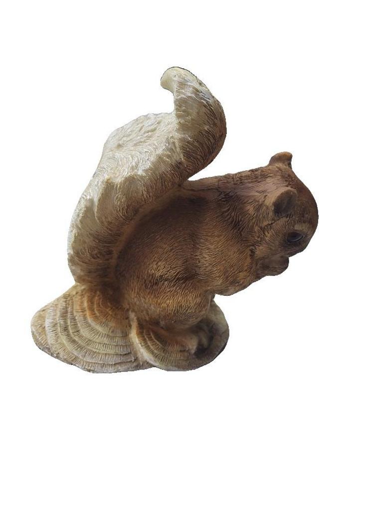 TREE HUGGER SQUIRREL