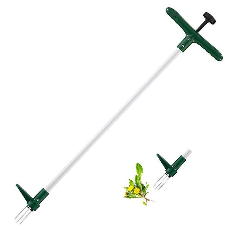 WALENSEE WEED PULLER