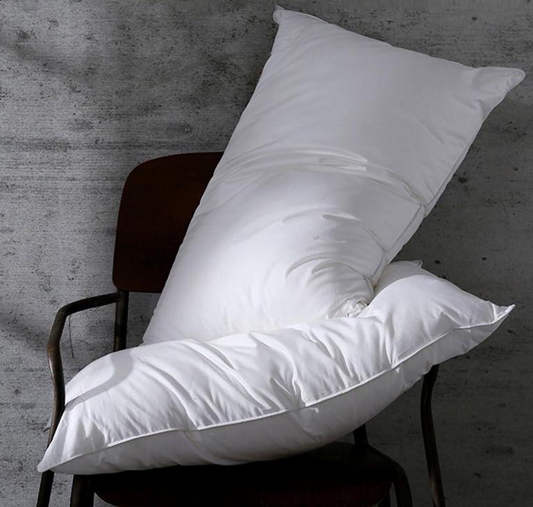 2PK GOOSE FEATHER PILLOWS QN