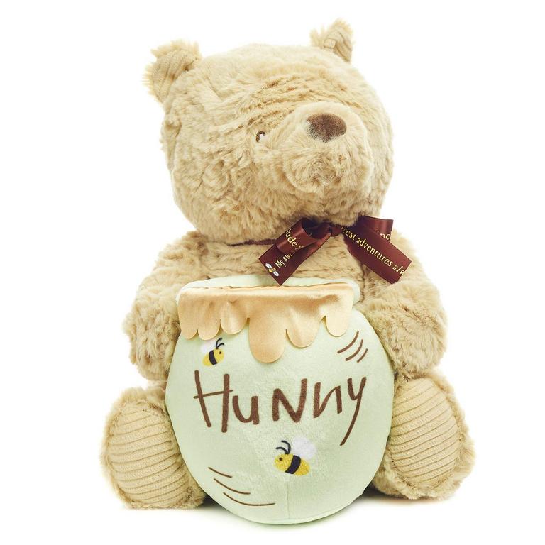 DISNEY BABY POOH WAGGY
