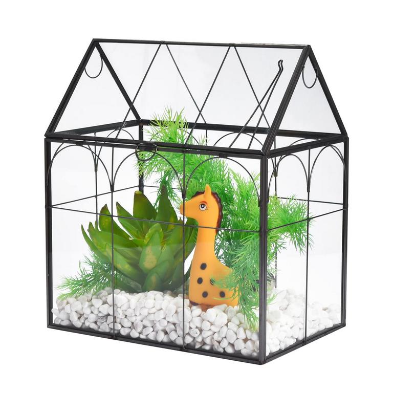 GLASS TERRARIUM DOME