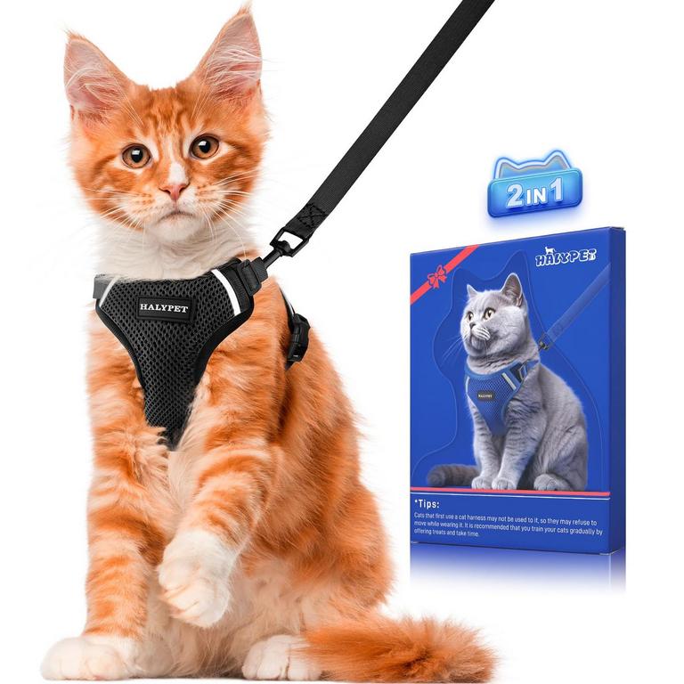 HALYPET CAT HARNESS