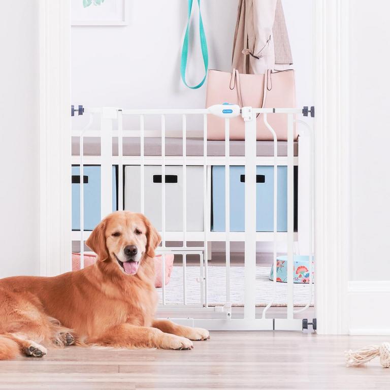 CARLSON 29-36.5IN PET GATE