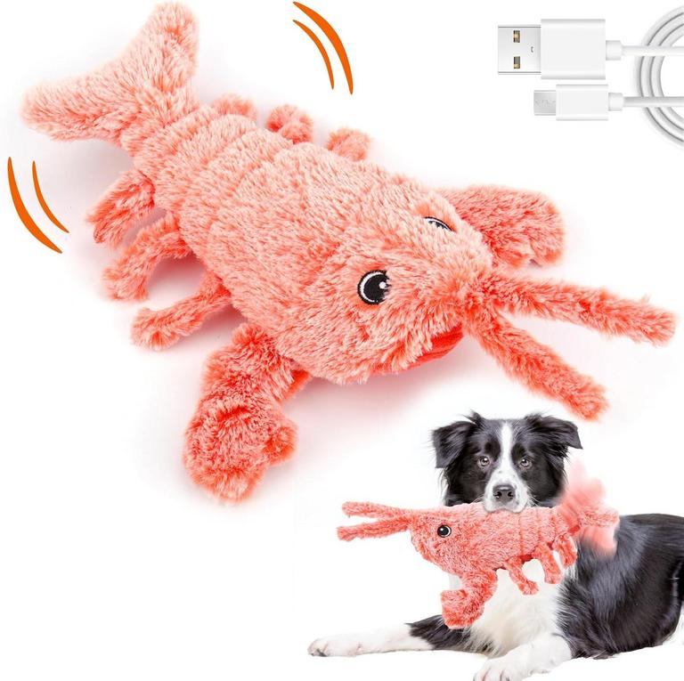 INTERACTIVE DOG TOY