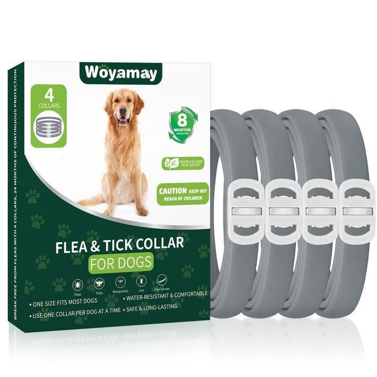 WOYAMAY FLEA COLLARS M 4PK