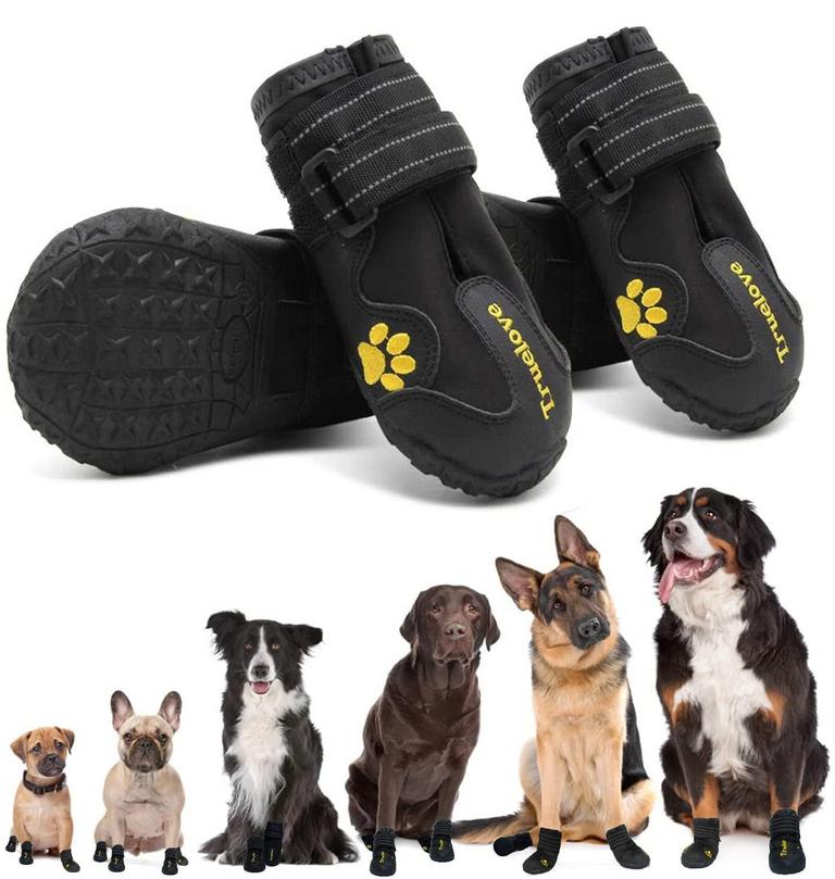 EXPAWLORER DOG SHOES SZ 7