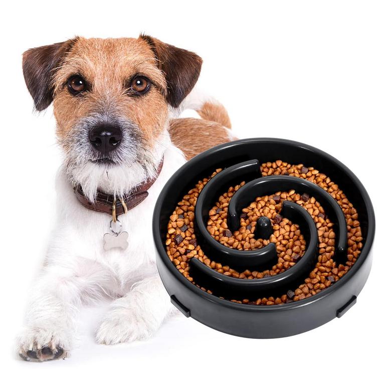 SLOW FEEDER DOG BOWL