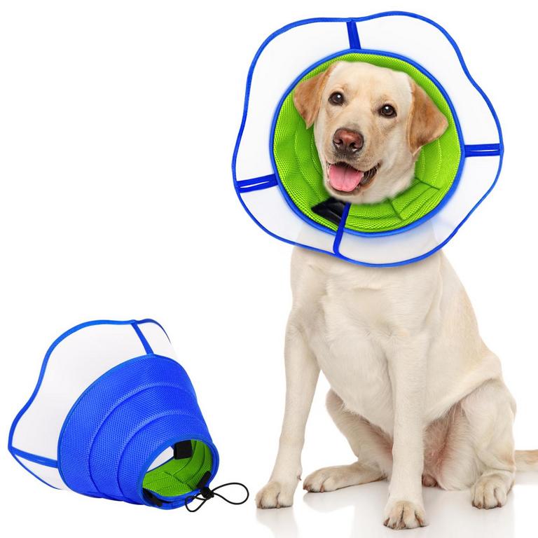 TZBEINN DOG RECOVERY COLLAR L