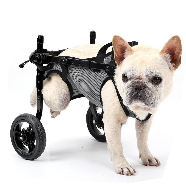 SMALL DOG WHEELCHAIR