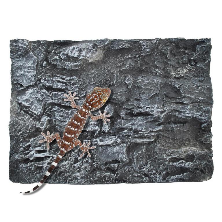 GREY ROCK TERRARIUM BACKDROP