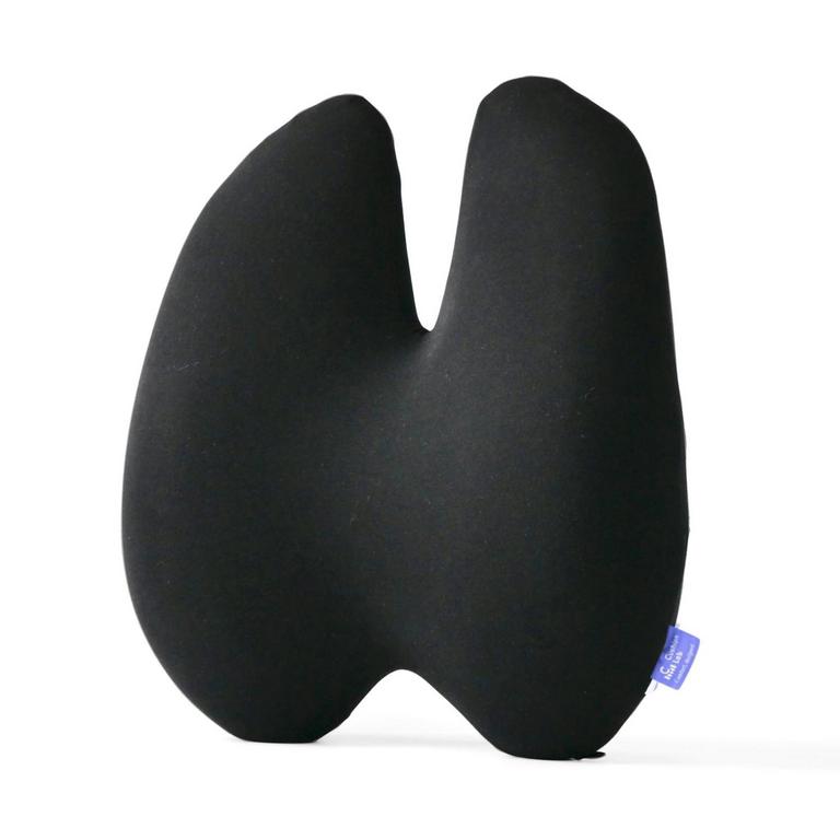 CUSHION LAB LUMBAR PILLOW
