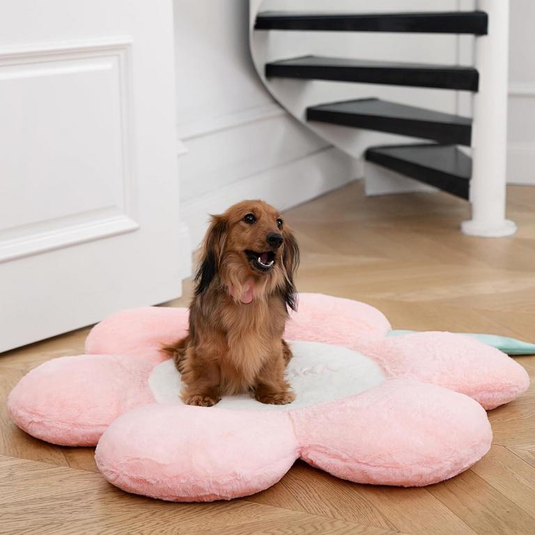 CUTE MEDIUM DOG BED