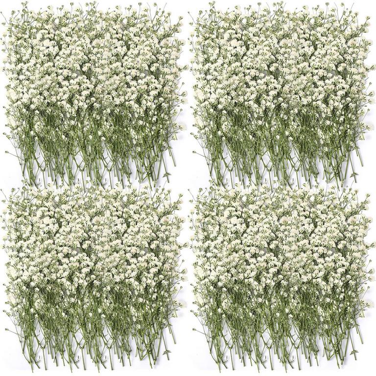 200 PCS IVORY DRIED FLOWERS