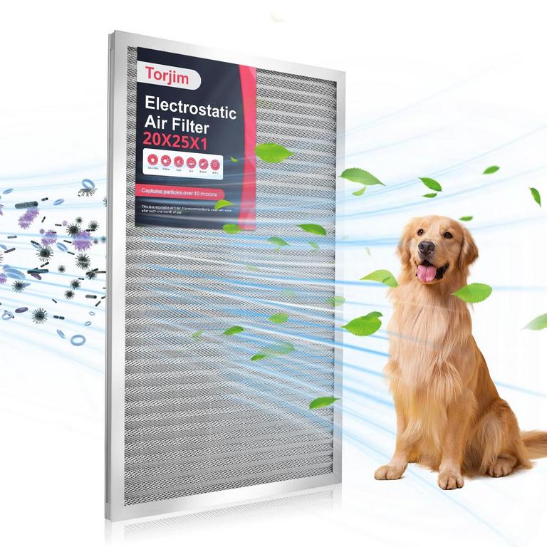 TORJIM 20X25X1 IN AIR FILTER