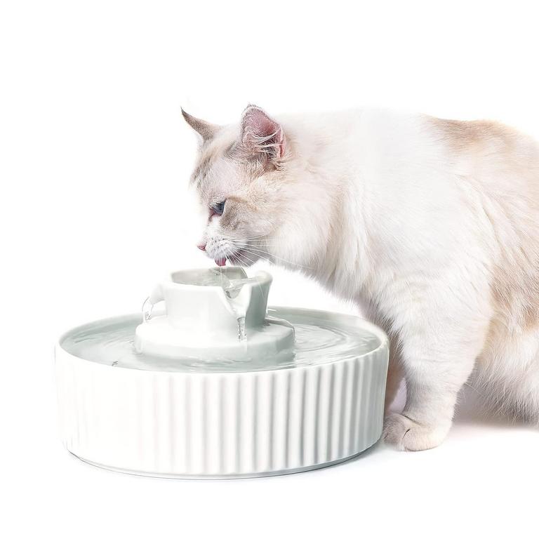 NAUTYPAWS CAT WATER FOUNTAIN