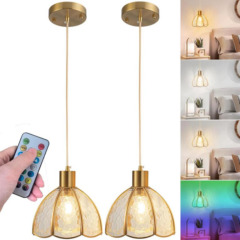 VIMHOU PENDANT LIGHTS 2PK