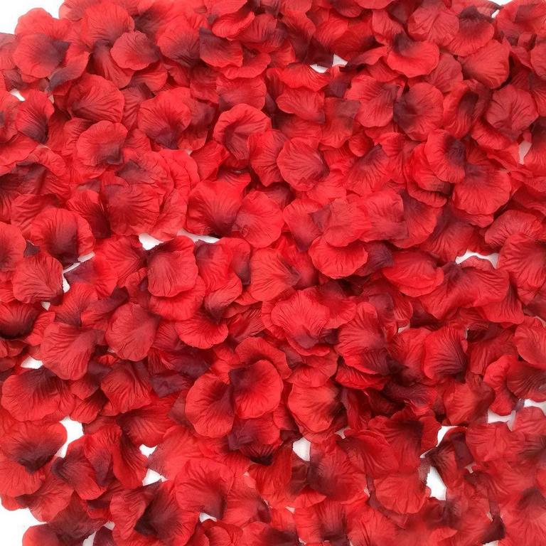 1500PK SILK RED PETALS