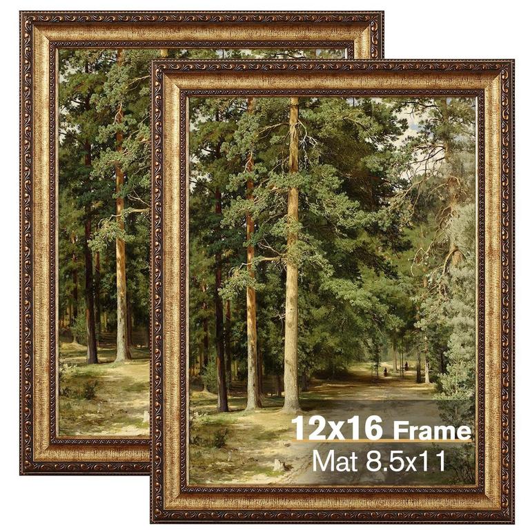 SPLINTERIX 12IN X 16IN FRAMES 2PK