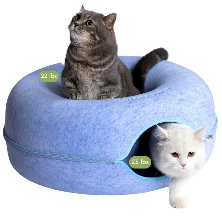 CATTASAURUS CAT CAVE L BLUE
