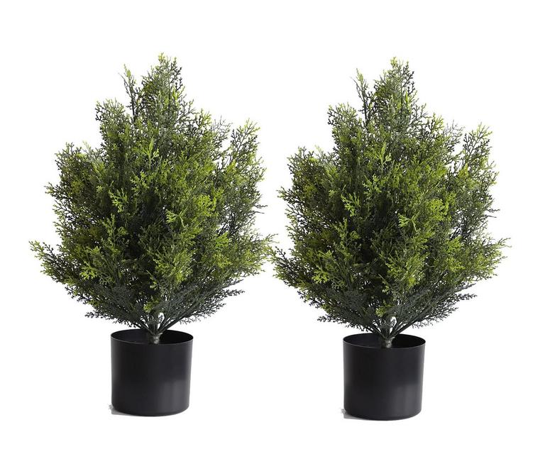 MOMOPLANT 2FT FAKE PLANTS