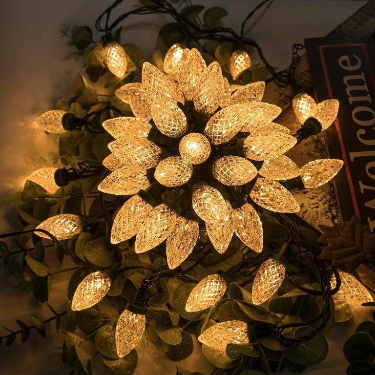 BIBANA 100LED 81FT LIGHTS