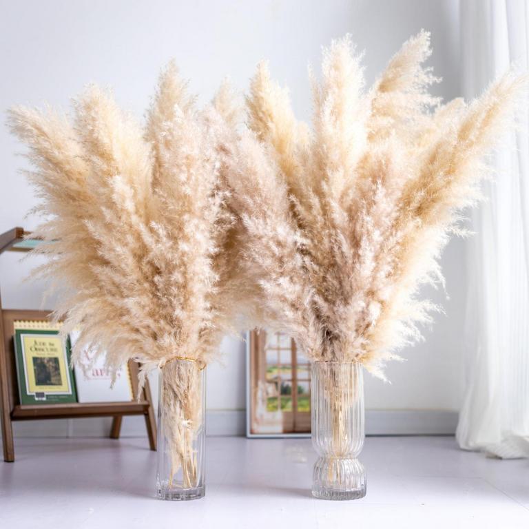 WILD AUTUMN 32IN PAMPA GRASS 10PC
