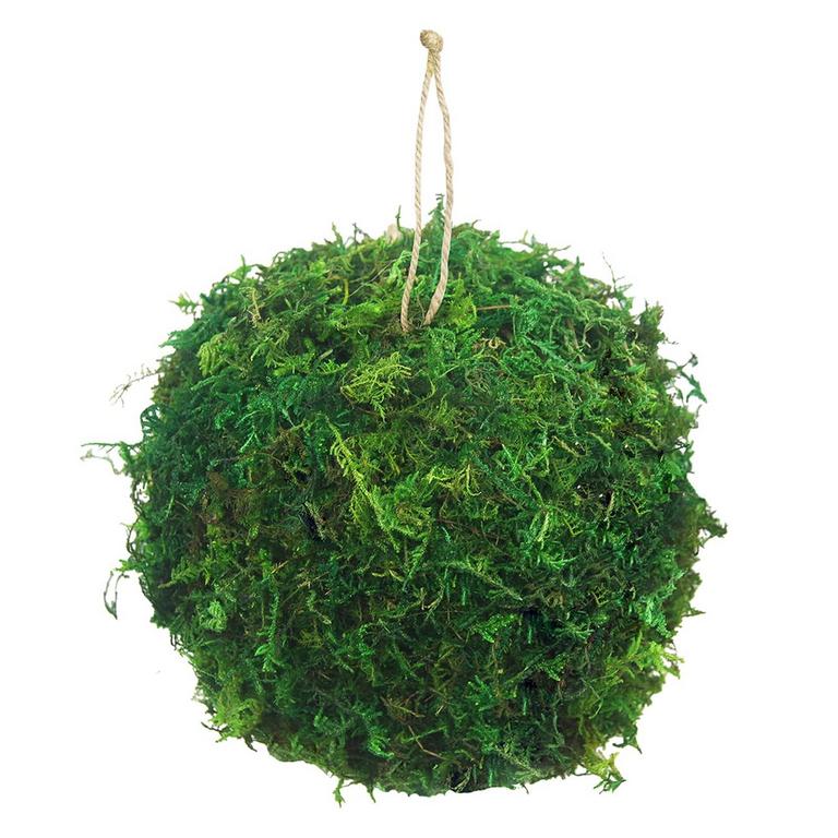 FAICOIA 6IN MOSS BALLS 6PK