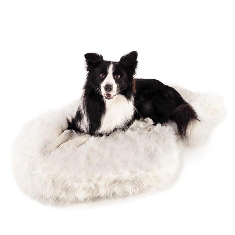PAW BRANDS L/XL DOG BED