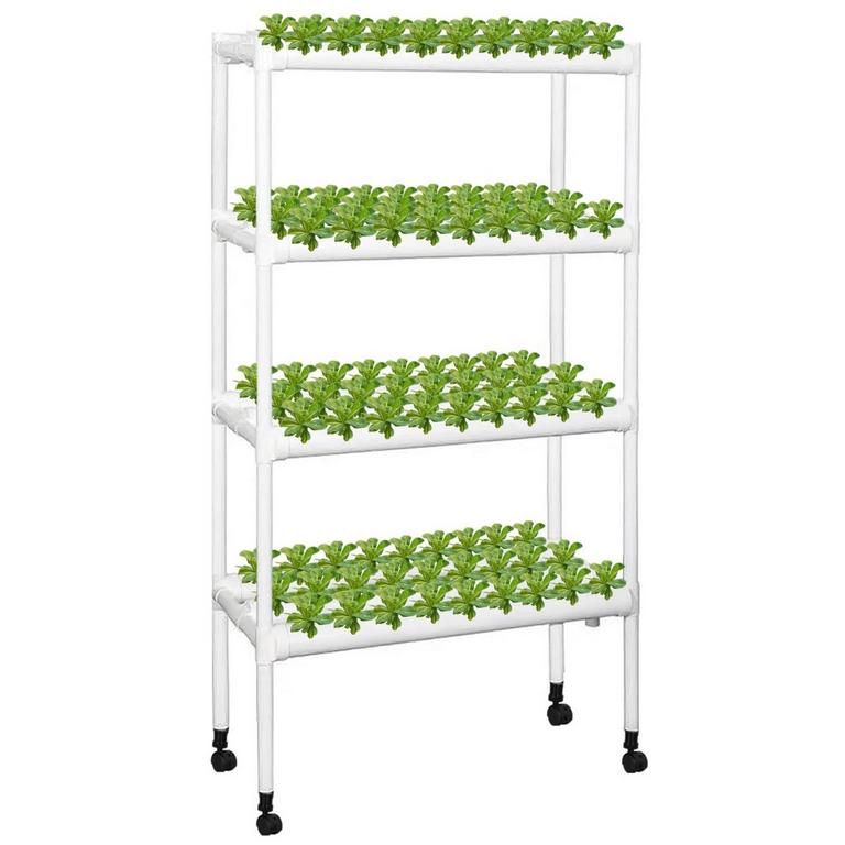 KALOLARY GROW KIT 108 SITES