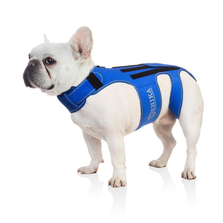 UZHIKA DOG BACK BRACE L