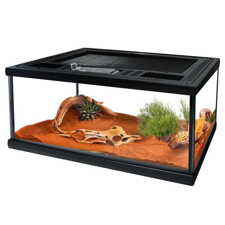 WAAZOOREP 12IN GLASS TANK