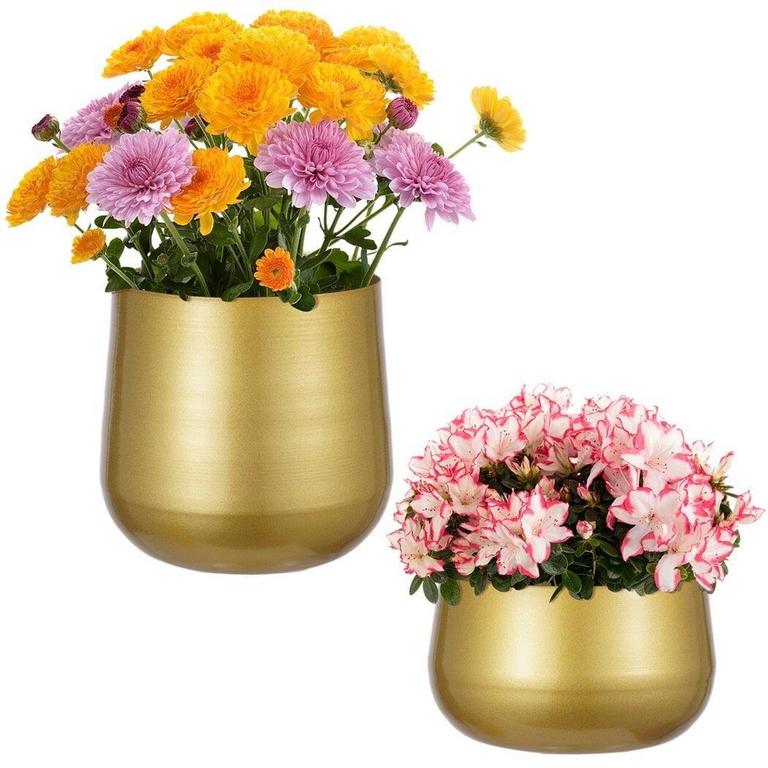 PEAOY  GOLDEN POTS 2PK