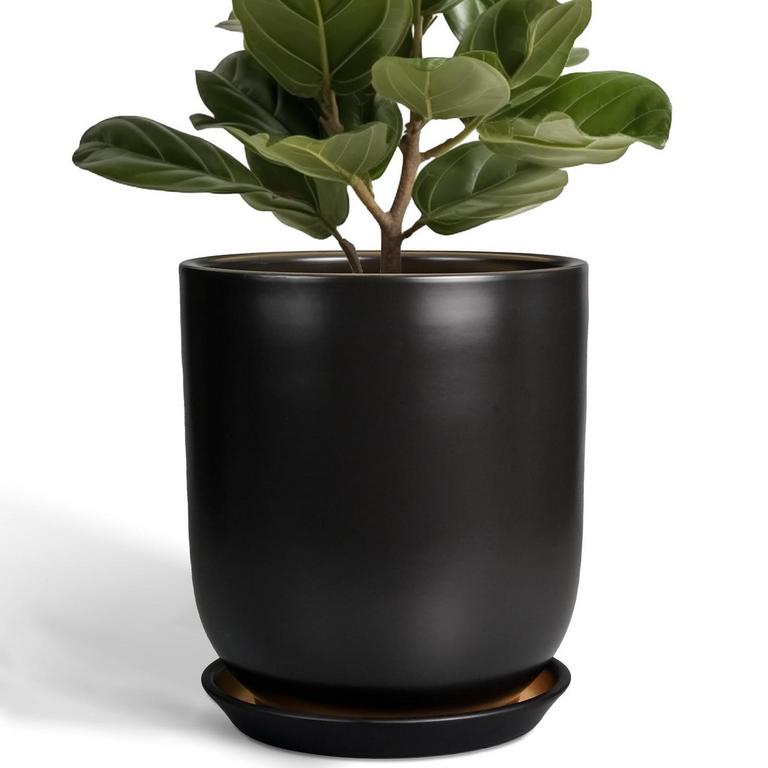 SUNPOTFOR 10IN POT BLACK