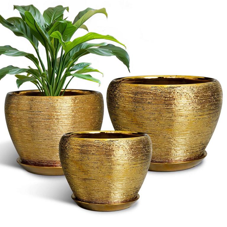 EPFAMILY GOLD PLANT POT SET