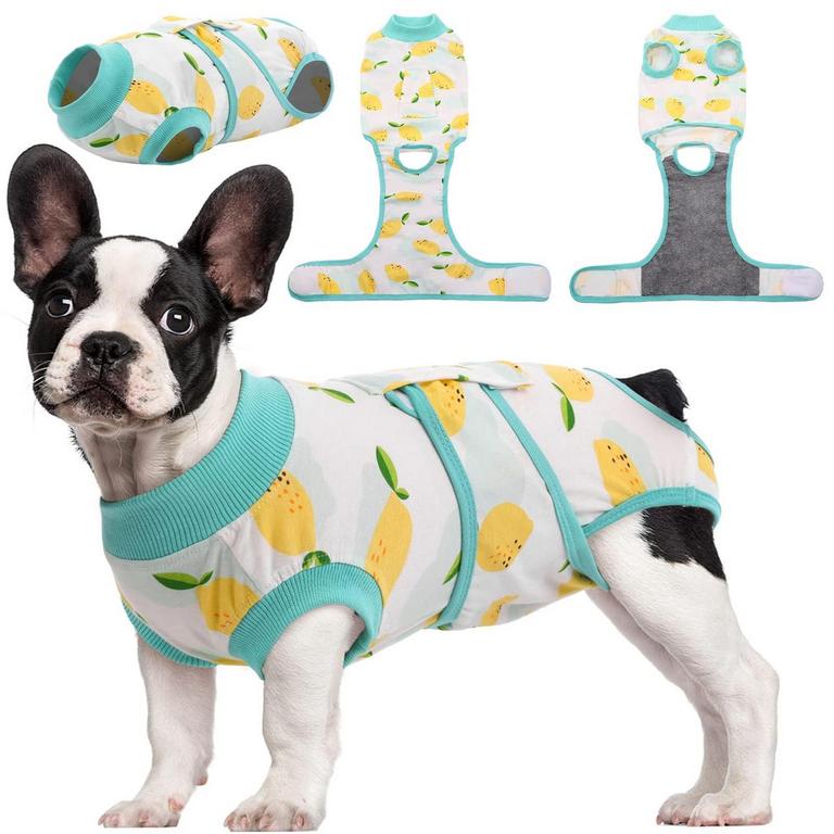 DOG RECOVERY SUIT