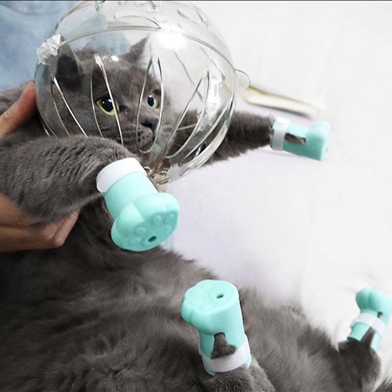 RZVNMKO CAT MUZZLE & BOOTS L