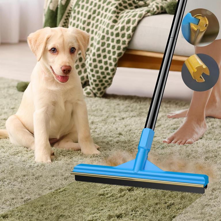 UEETB PET HAIR REMOVER