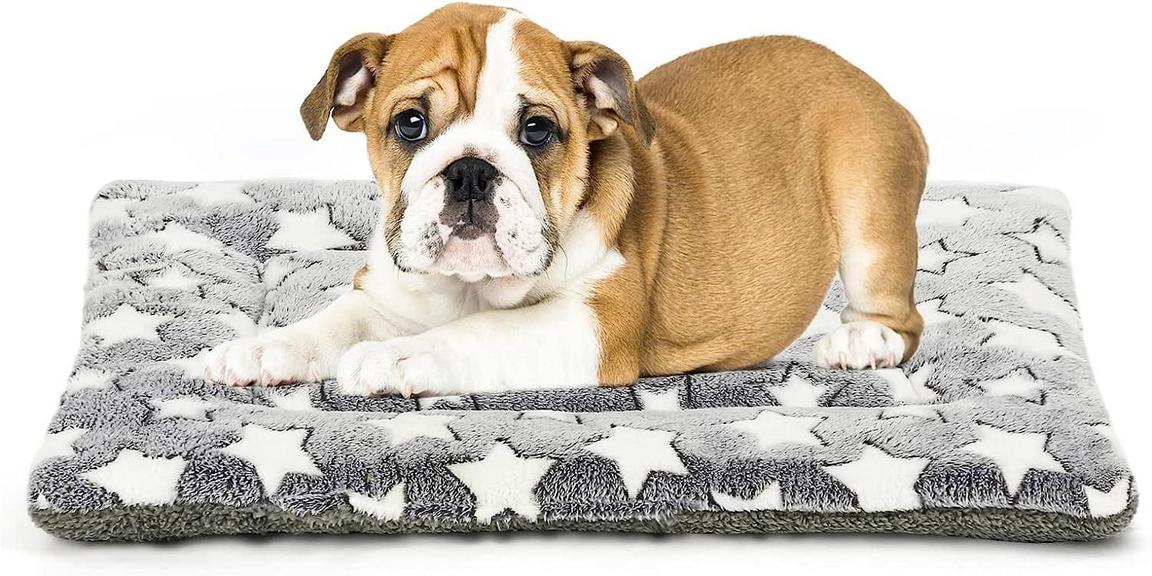 HEJULIK DOG BED MAT 23IN X 16IN