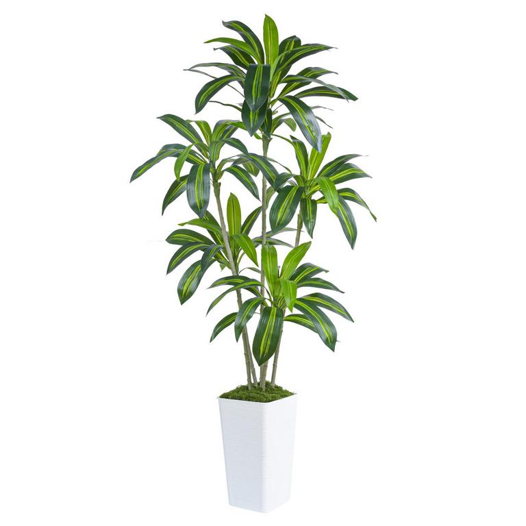 FSOHOI 6FT FAUX DRACAENA TREE