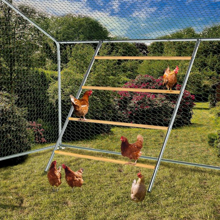 BESBLEE CHICKEN PERCH 55IN