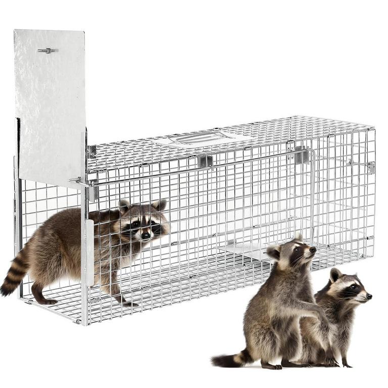 DEXYLA 32IN ANIMAL TRAP